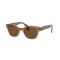 Ray-Ban RB 0880S 664057 Güneş Gözlüğü, Resim 8