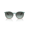 Ray-Ban RB 2204 1394GK Güneş Gözlüğü, Cinsiyet: Unisex, Ekartman: 51, Resim 8