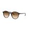 Ray-Ban RB 2230 902/51 Güneş Gözlüğü, Cinsiyet: Unisex, Ekartman: 53, Resim 12