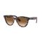 Ray-Ban RB 2241 133451 Güneş Gözlüğü, Cinsiyet: Unisex, Ekartman: 51, Resim 12