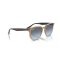 Ray-Ban RB 4306 6788V1 Güneş Gözlüğü, Resim 6