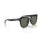 Ray-Ban RB 4423D 601/9A Güneş Gözlüğü, Resim 6